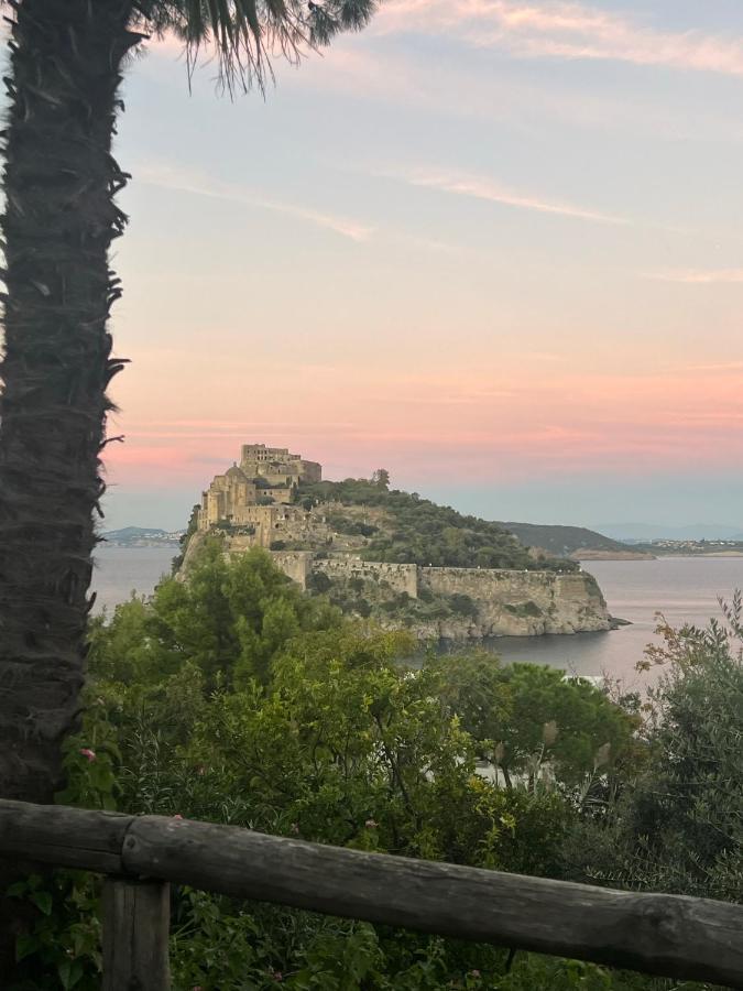 Villa To Ischia With Love 外观 照片